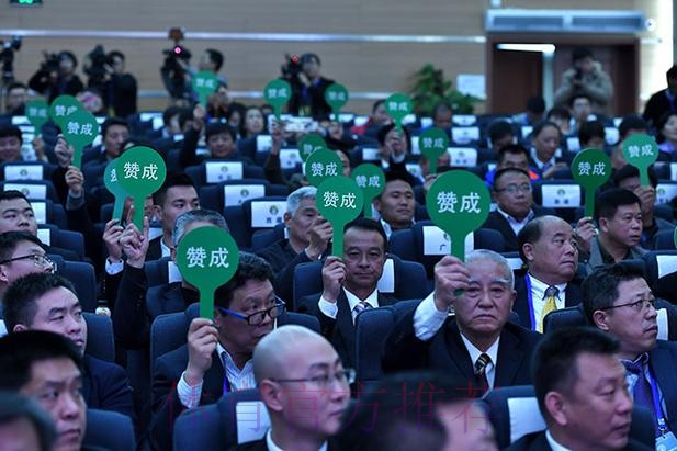 第十届中国足球协会第三次会员大会决议 第十届中国足球协会第三次会员大会决议